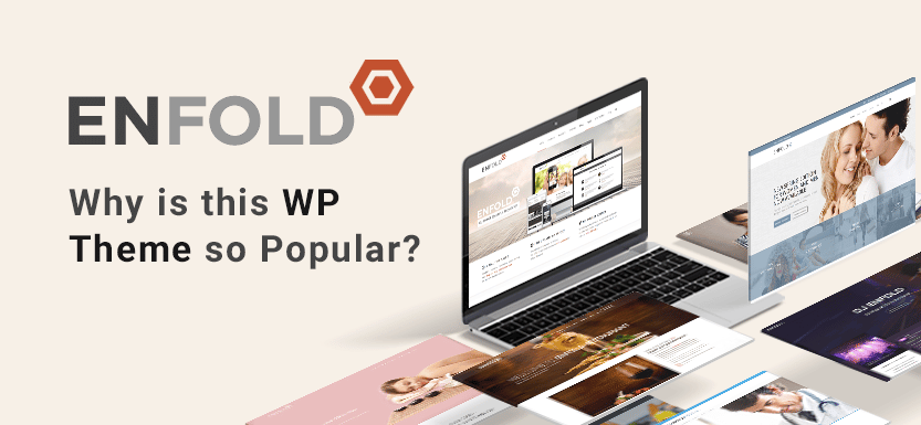 Enfold Theme: Why is it so popular? Top Features 2024