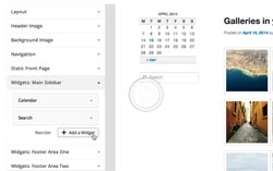 theme-customizer