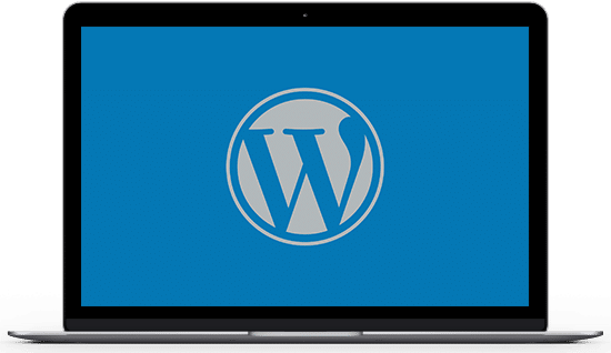 laptop wordpress support