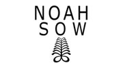 noah sow logo
