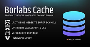 borlabs cache