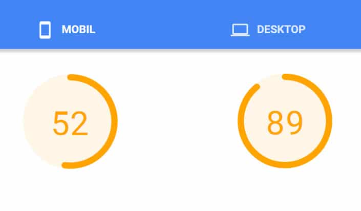 Borlabs Cache PageSpeed Insights Score