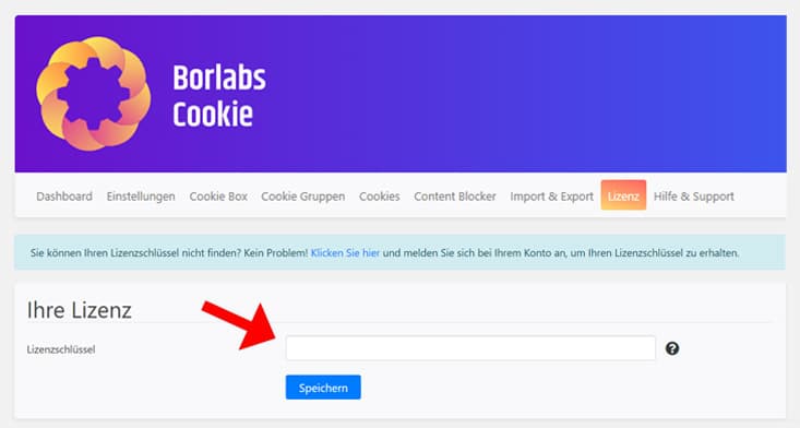 Screenshot Borlabs Cookie Lizenz