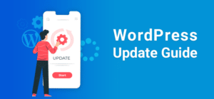 WordPress Update Preview