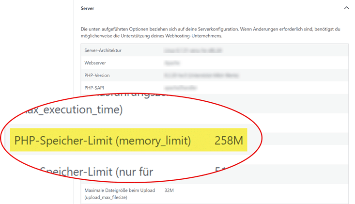 WP-Memory-Limit im Website-Bericht prüfen